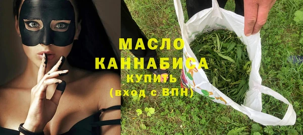 МДПВ Краснослободск