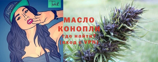 МДПВ Краснослободск
