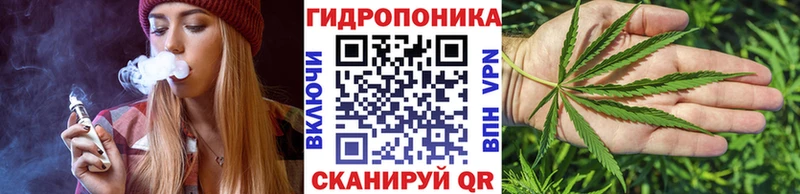 Купить  Боровичи  Марихуана OG Kush 